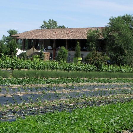 Agriturismo Cascina Caremma Besate Buitenkant foto