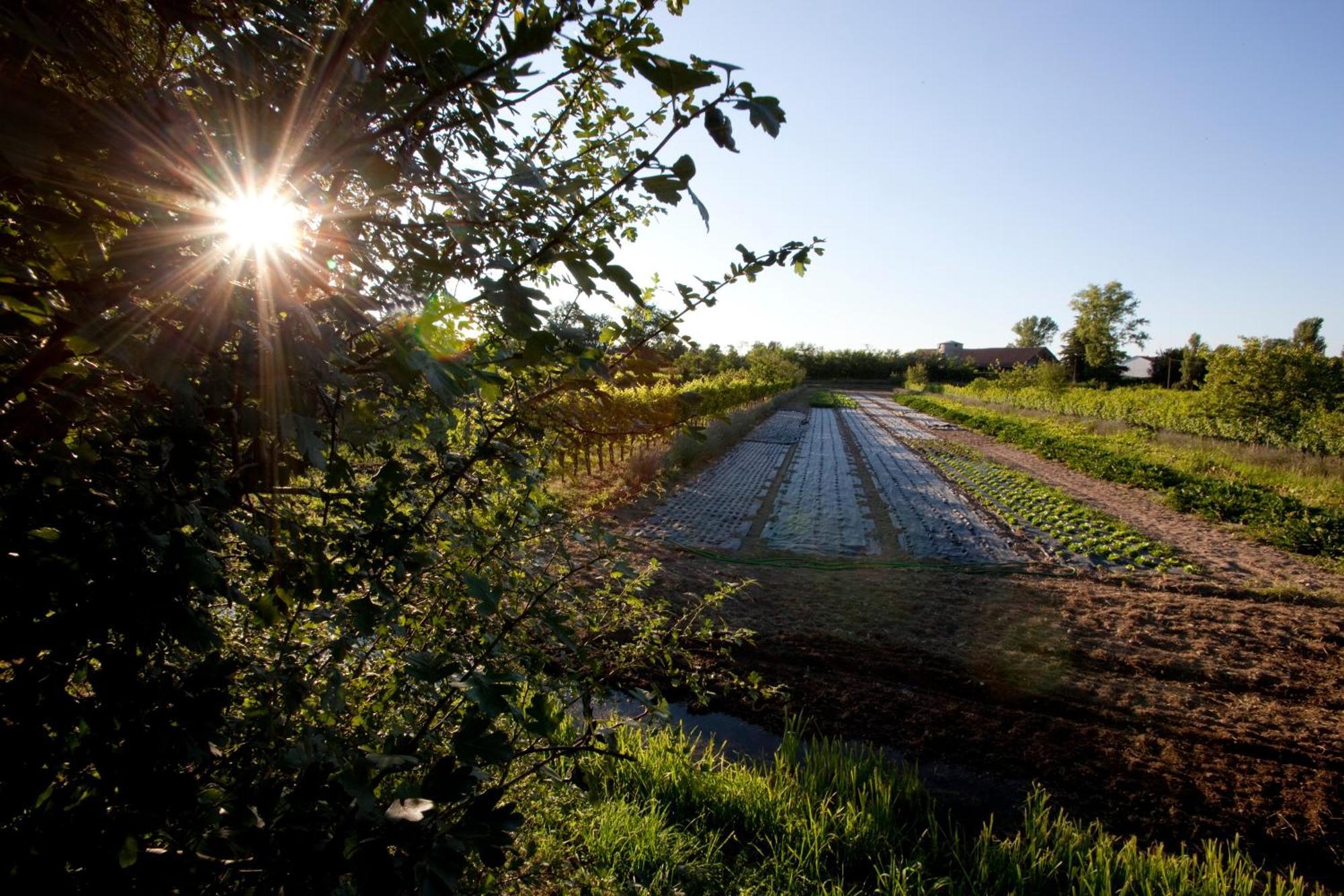 Agriturismo Cascina Caremma Besate Buitenkant foto