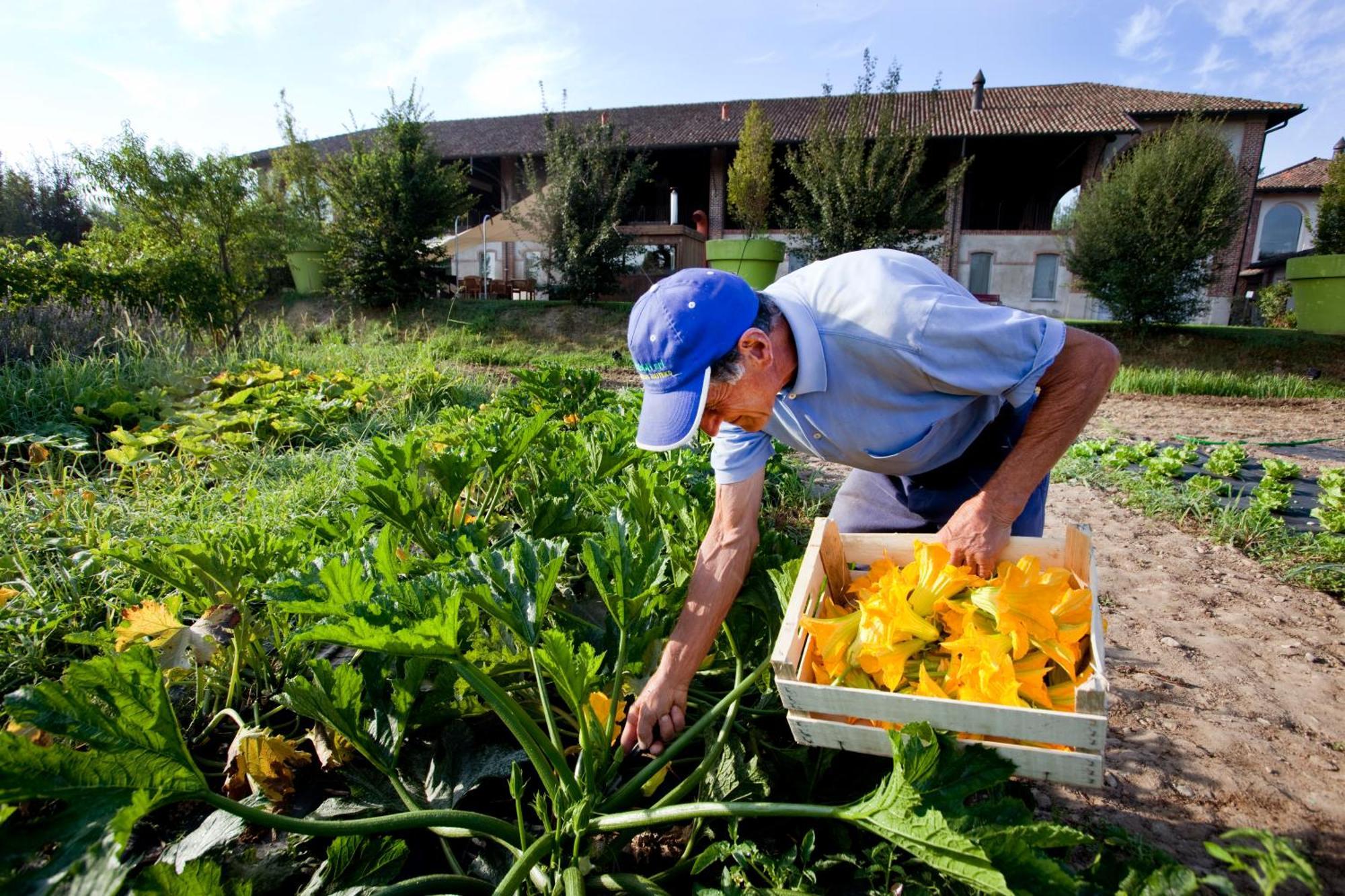Agriturismo Cascina Caremma Besate Buitenkant foto