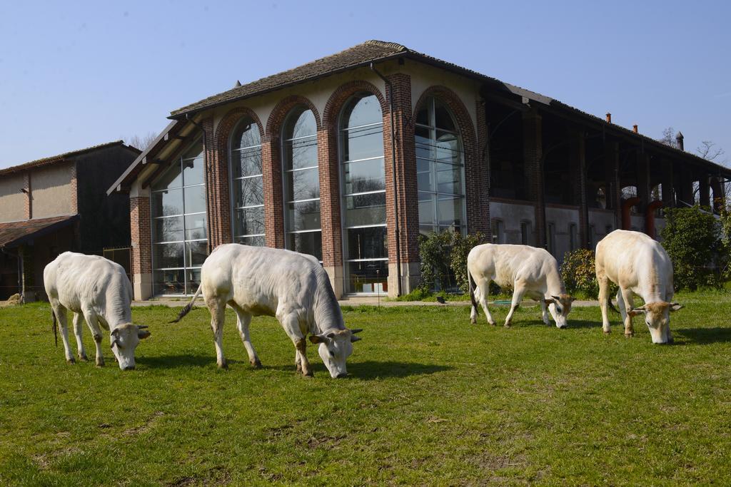 Agriturismo Cascina Caremma Besate Buitenkant foto